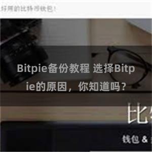 Bitpie备份教程 选择Bitpie的原因，你知道吗？