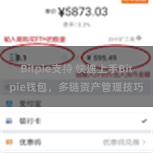 Bitpie支持 快速上手Bitpie钱包，多链资产管理技巧