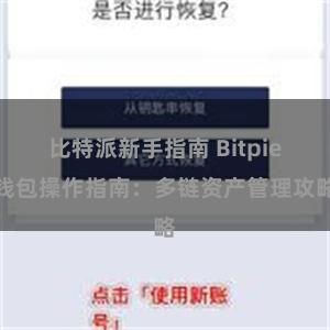 比特派新手指南 Bitpie钱包操作指南：多链资产管理攻略