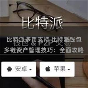 比特派多币支持 比特派钱包多链资产管理技巧：全面攻略