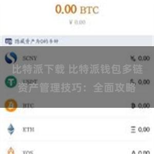 比特派下载 比特派钱包多链资产管理技巧：全面攻略