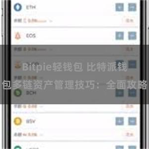 Bitpie轻钱包 比特派钱包多链资产管理技巧：全面攻略