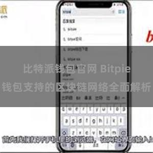 比特派钱包官网 Bitpie钱包支持的区块链网络全面解析