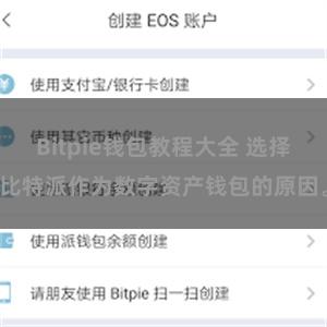 Bitpie钱包教程大全 选择比特派作为数字资产钱包的原因。