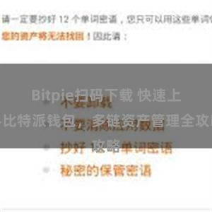 Bitpie扫码下载 快速上手比特派钱包，多链资产管理全攻略