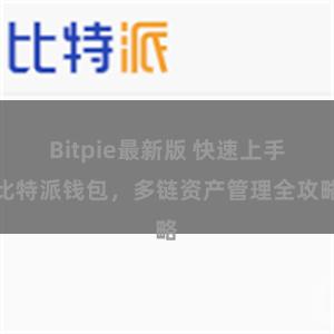 Bitpie最新版 快速上手比特派钱包，多链资产管理全攻略