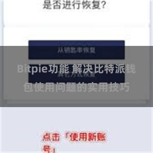 Bitpie功能 解决比特派钱包使用问题的实用技巧