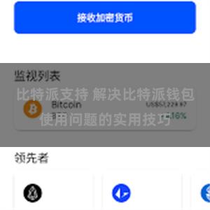 比特派支持 解决比特派钱包使用问题的实用技巧