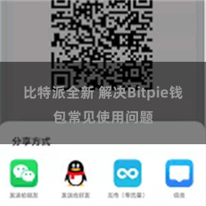 比特派全新 解决Bitpie钱包常见使用问题