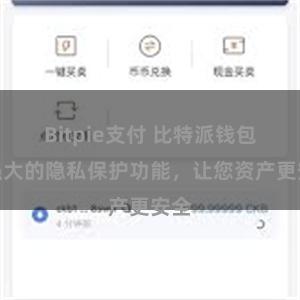 Bitpie支付 比特派钱包：强大的隐私保护功能，让您资产更安全