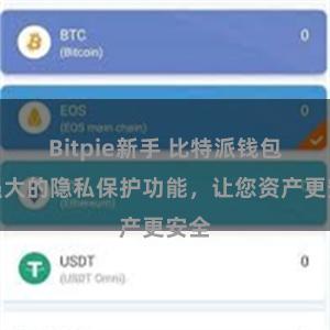 Bitpie新手 比特派钱包：强大的隐私保护功能，让您资产更安全