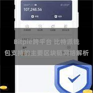 Bitpie跨平台 比特派钱包支持的主要区块链网络解析