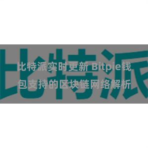 比特派实时更新 Bitpie钱包支持的区块链网络解析