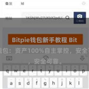 Bitpie钱包新手教程 Bitpie钱包：资产100%自主掌控，安全可靠。