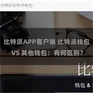 比特派APP客户端 比特派钱包 VS 其他钱包：有何区别？