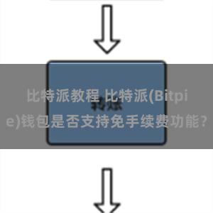 比特派教程 比特派(Bitpie)钱包是否支持免手续费功能？