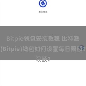 Bitpie钱包安装教程 比特派(Bitpie)钱包如何设置每日限额？