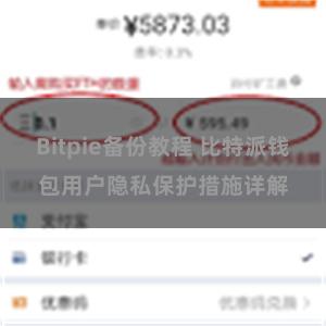 Bitpie备份教程 比特派钱包用户隐私保护措施详解