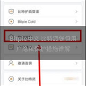 Bitpie中文 比特派钱包用户隐私保护措施详解