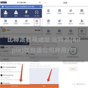 比特派教程地址 比特派(Bitpie)钱包适合何种用户？