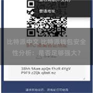比特派中文 比特派钱包安全性分析：是否足够强大？