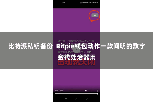比特派私钥备份  Bitpie钱包动作一款闻明的数字金钱处治器用