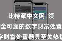 比特派中文网  领有一款安全可靠的数字财富处置器具至关热切