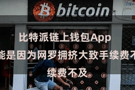 比特派链上钱包App  可能是因为网罗拥挤大致手续费不及